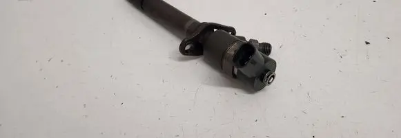 Volvo V70 Fuel injector 0445110078