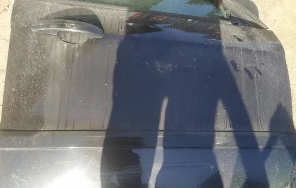 Ford S-MAX Front door trim (molding) 