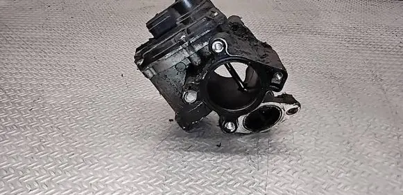 Renault Trafic II (X83) EGR valve H8200327011