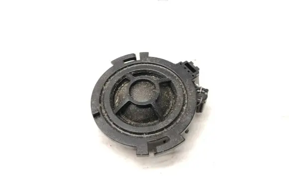 Front door high frequency speaker