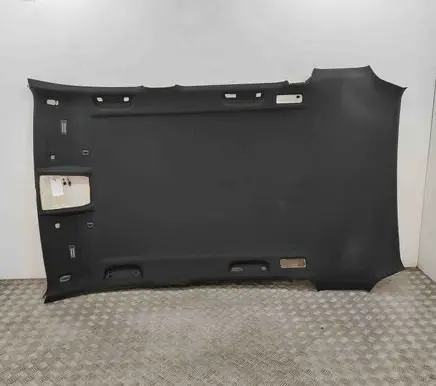 BMW X3 F25 Headlining 7174205
