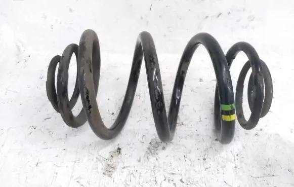 Renault Trafic III (X82) Rear coil spring