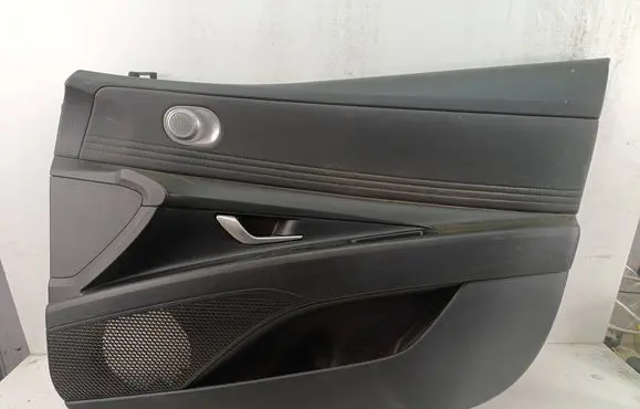 Hyundai Elantra VII Front door card panel trim M0220AA010NNB