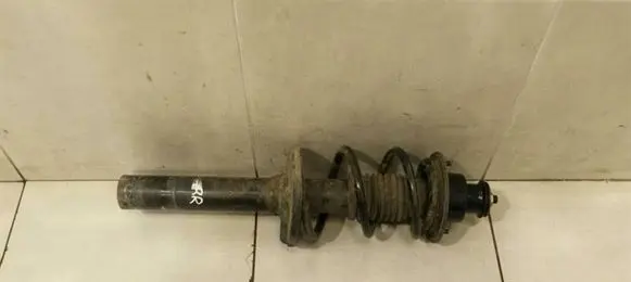 Porsche Cayman 987 Rear shock absorber with coil spring 98733305109