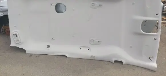 Chrysler Pacifica Headlining 5YX16PS2AJ