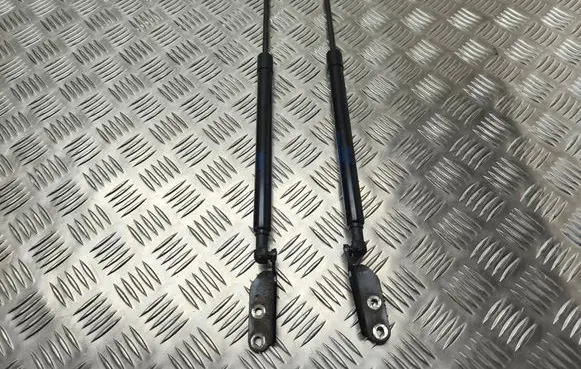 Tailgate/trunk strut/damper