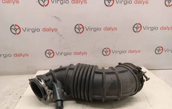 KIA Sorento Air intake hose/pipe 281302w300
