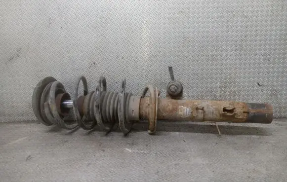 Citroen C2 Front shock absorber with coil spring