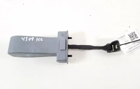Mercedes-Benz CLA C118 X118 Rear door check strap stopper A1187301500