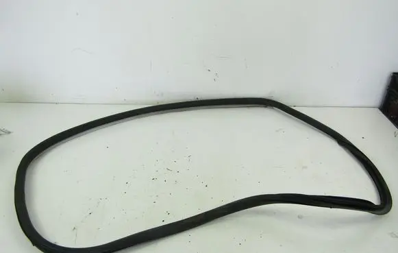 Renault Laguna III Front door rubber seal 