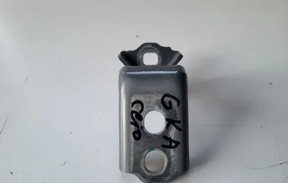 Renault Clio V Rear door lower hinge