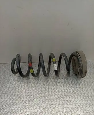 Rear coil spring