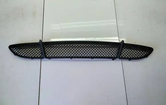 Front bumper lower grill