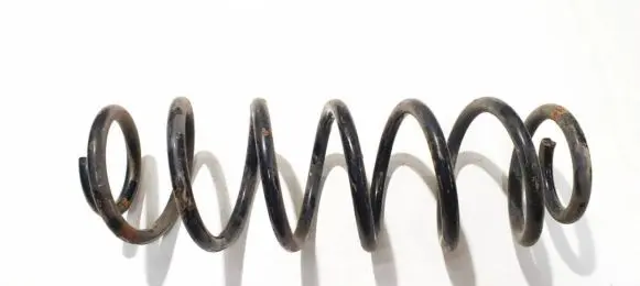 Rear coil spring