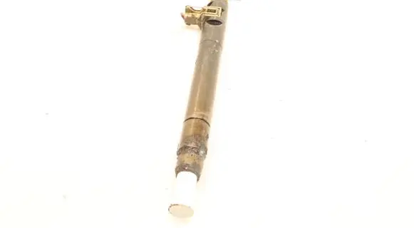 Citroen C5 Fuel injector EMBR001010