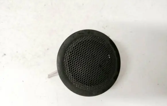 Front door speaker
