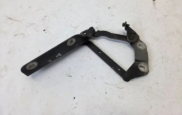 Land Rover Evoque I Engine bonnet/hood hinges 6H52-16801-AC