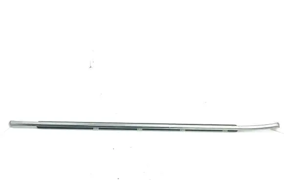 Hyundai Santa Fe Front door glass trim molding