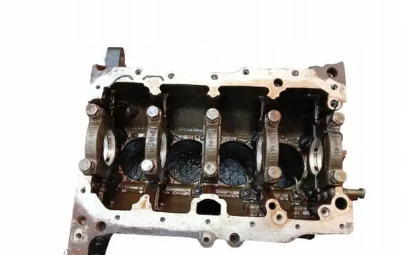 Volkswagen PASSAT Engine block 03C021