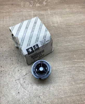 Peugeot Boxer Front door high frequency speaker 6562P4 545286726 A0143302