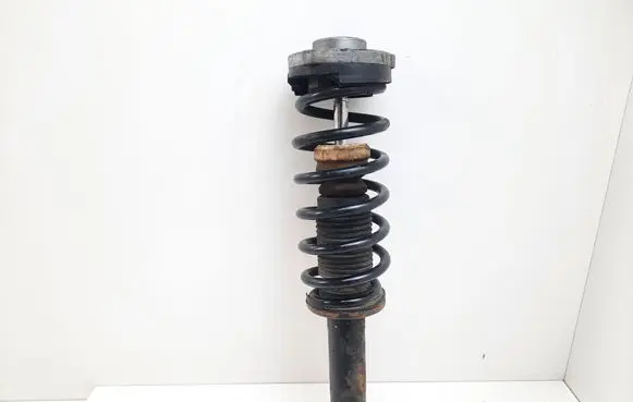 BMW X3 F25 Rear shock absorber with coil spring 6796317