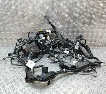 Toyota C-HR II Engine installation wiring loom AB111F4Z40 82111F4Z40