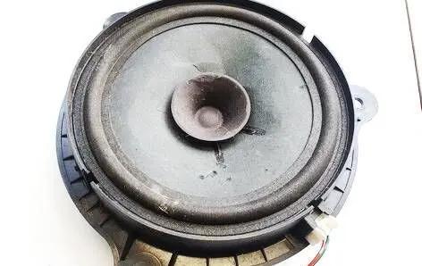 Front door speaker