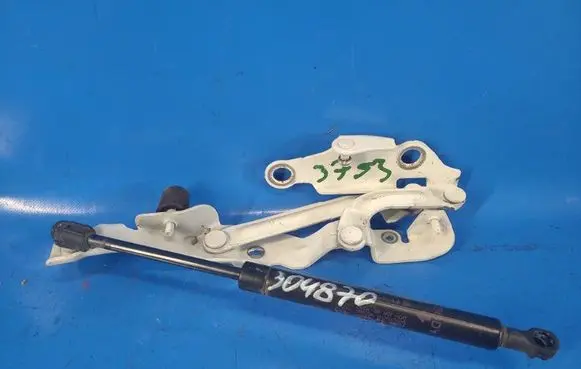 Chrysler 200 Tailgate/trunk/boot hinge 5074539AD