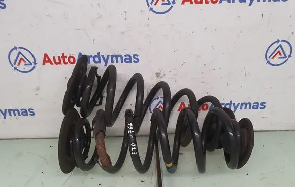 Rear coil spring