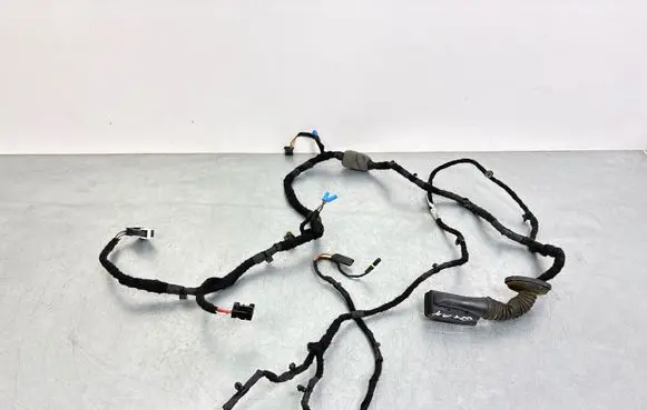 BMW 3 G20 G21 Front door wiring loom 5A20675 11107811