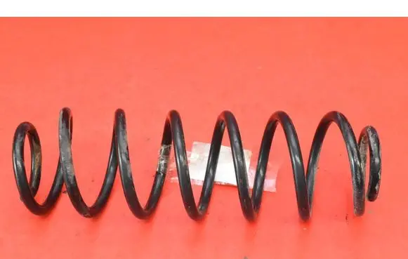 Rear coil spring