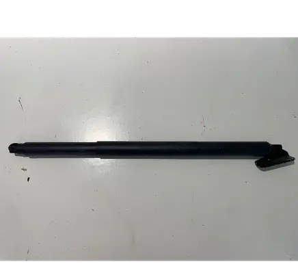 Hyundai Kona II Tailgate/trunk strut/damper 81841be100