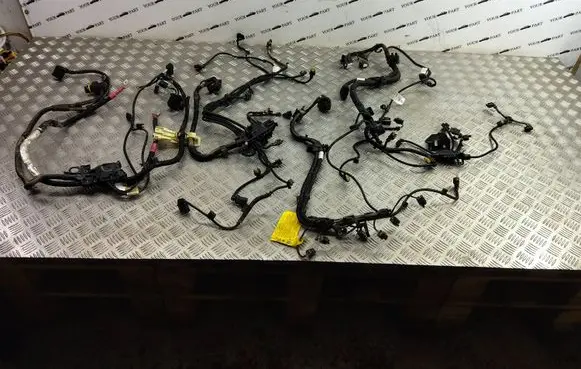 BMW X3 G01 Engine installation wiring loom