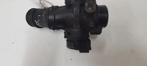 Citroen Berlingo Throttle valve 9660030580