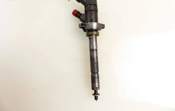Ford C-MAX I Fuel injector 0445110259