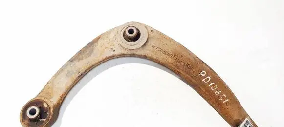Front lower control arm/wishbone