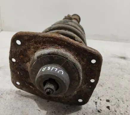 Fiat Ulysse Front shock absorber with coil spring 36D01A