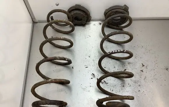 Renault Laguna III Rear coil spring