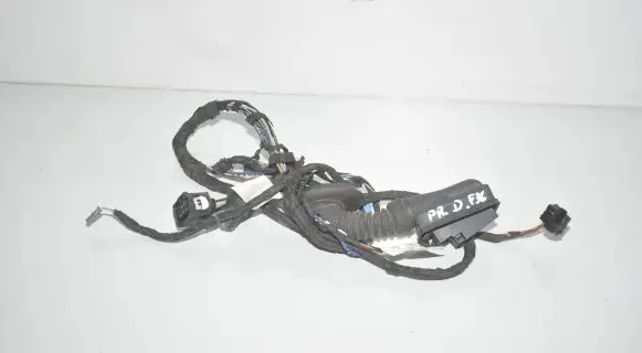 Front door wiring loom