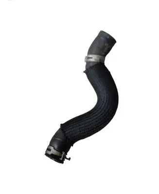 Renault Talisman Engine coolant pipe/hose