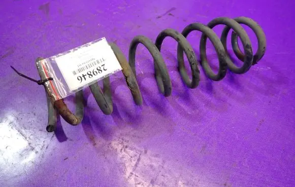 Renault Fluence Rear coil spring