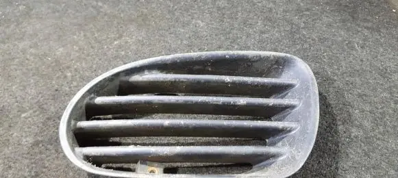 Mitsubishi Carisma Front bumper lower grill mr153416