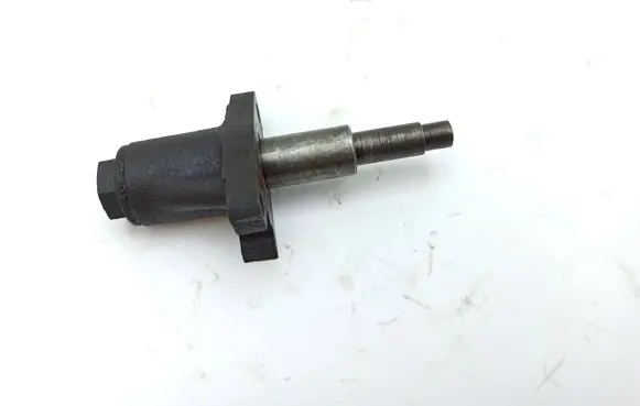 Mercedes-Benz COMPAKT W115 Timing belt/chain tensioner 