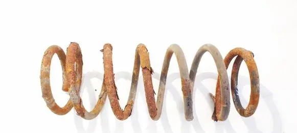 Rear coil spring