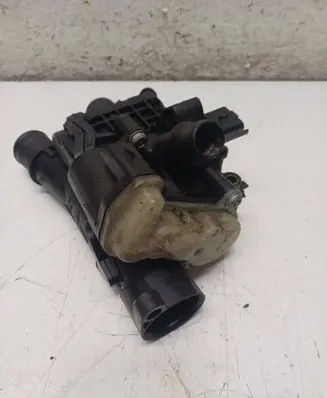 Thermostat/thermostat housing