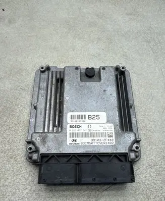 Hyundai Santa Fe Engine control unit/module 391032F440 391182F440 0281017541
