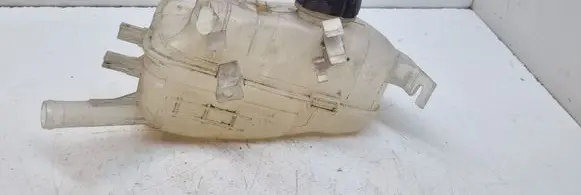Renault Scenic III - Grand scenic III Coolant expansion tank/reservoir 217100005R