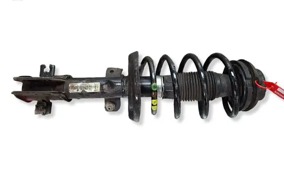 Fiat Bravo Front shock absorber/damper S26309427