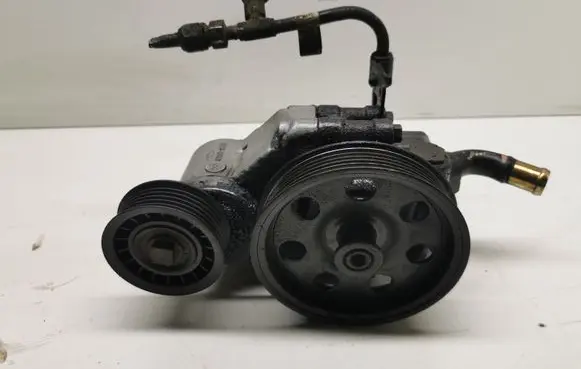 Ford Galaxy Power steering pump 8LD1002 98MF3C631