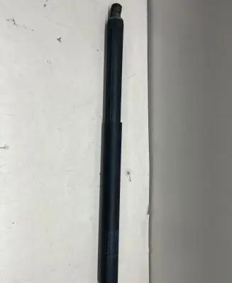 Tailgate strut